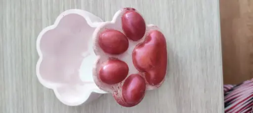 Boite bijoux patte de chien